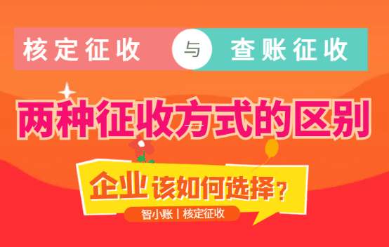 个体户税务征收方式深度解析，核定征收与查账征收的博弈