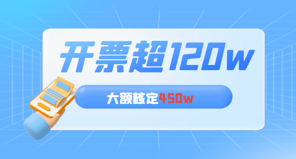 大额核定征收的定义与核心逻辑