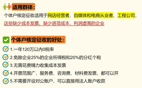 个体户核定征收计税依据的深度解析与实务应用