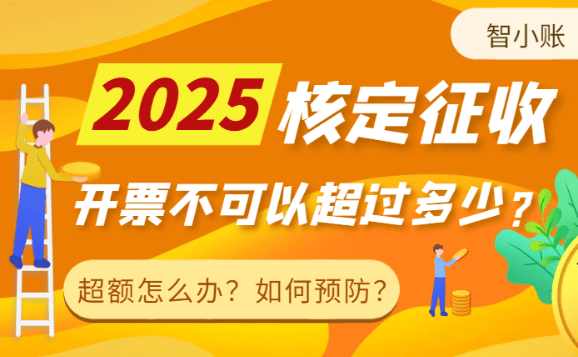 小微企业税务征收方式深度解析，查账征收与核定征收如何选择？