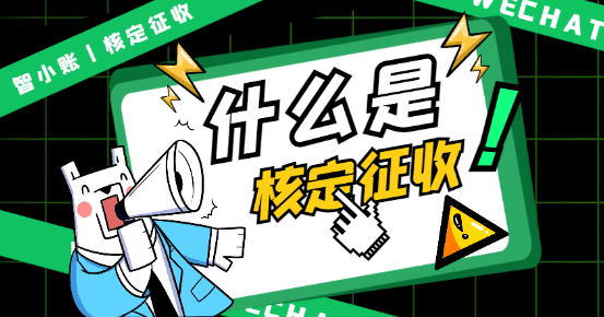 核定征收应纳税所得额计算全流程解析与实务操作指南