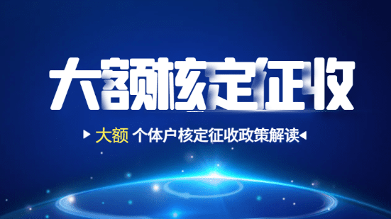 个体户核定征收税务核查全流程指南(2025年版) 个体户核定征收税务怎么查 第1张 个体户核定征收税务核查全流程指南(2025年版) 个体户核定征收税务怎么查 第1张